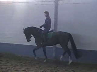Caballo en épaule en dedans février 2010