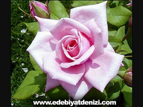 Ahmet Kaya - Acı Ninni Amatör Klip | EdebiyatDenizi.Com