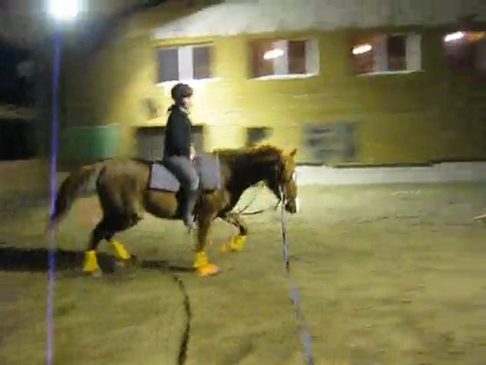 voltige 02/02/2010