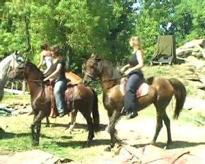 spectacle titi sandy