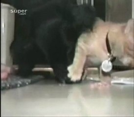 ne pas se laisser faire par les grads ;-)