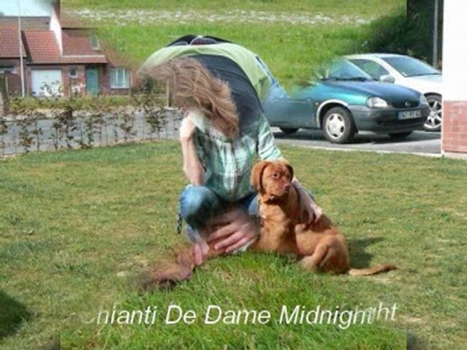 Les bébés nés à l'élevage De Dame Midnight