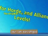 WOW Leveling Guide   Gold Guide   Speed Leveling and PVP
