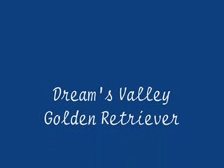 Dream's Valley Eyes of Angel