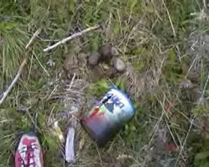 TORRES DEL PAINE CAMPING SAUVAGE