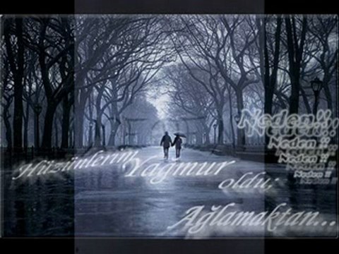 İbrahim Tatlıses - NeDeN