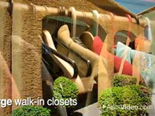 Glen Oaks Apartments in Glendale, AZ - ForRent.com