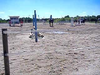 saut d'aobstacles galop 4/5