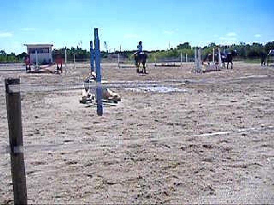 saut d'aobstacles galop 4/5