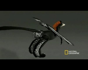 Dinozorların Renkleri