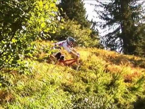 Downhill Trail - Orpheus Productions