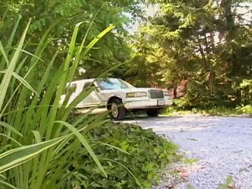 Orlando Limo Service from MCO to Disney  - Orlando 1 Limo