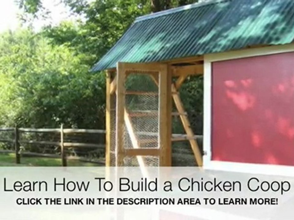 How To Build a Chicken Coop - Chicken Coop Plans