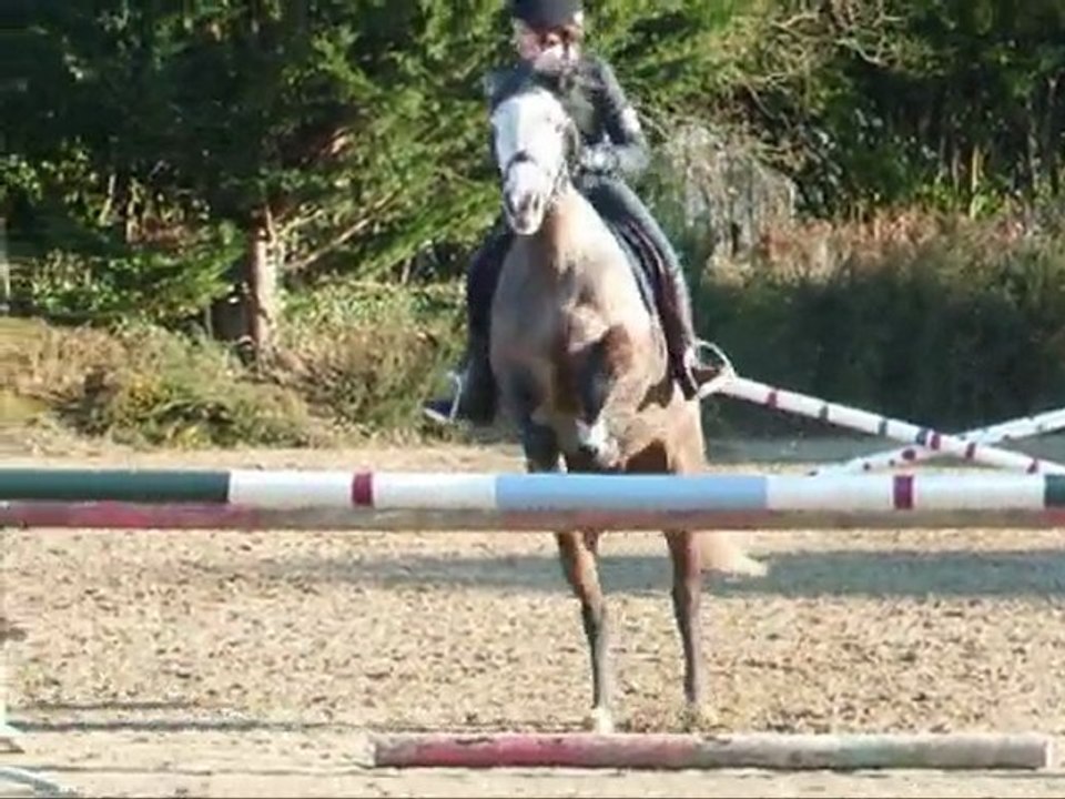 Séance d'obstacle - 30 janvier 2010