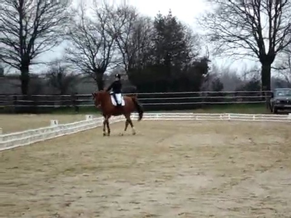 dressage martigné 24/01/10 aurélie + genet Club 3 GP