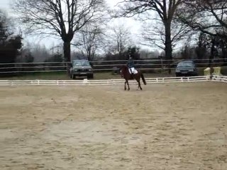 dressage martigné 24/01/10 hélène + kiwen Club 3 GP