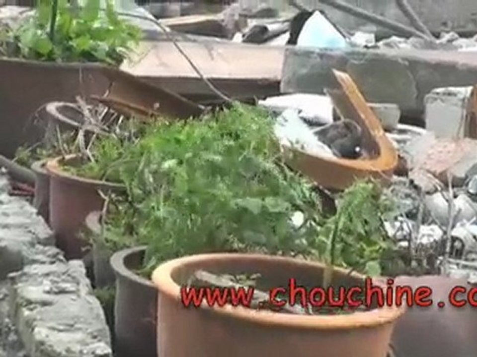 J+91 sur les traces du séisme