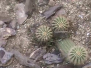 Gilipolleces 09 xDDDDD