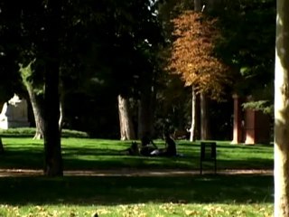 Inter-Continental Madrid Where the Crowds Go