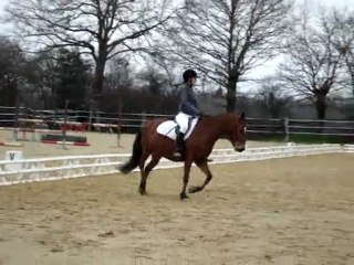 dressage martigné 24/01/10 hélène + kiwen préléminaire