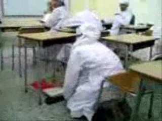 Vaya amigos