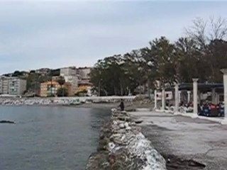 Baños del Carmen, (Malaga) 15 Enero 2010