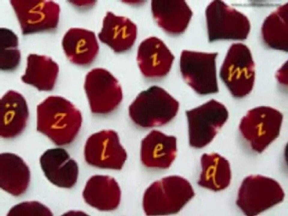 HASRETINLE YANDI GÖNLÜM