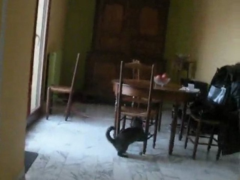 5 février 2O1O. 136