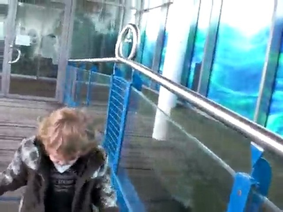 Aquarium bremerhaven 03.02.c