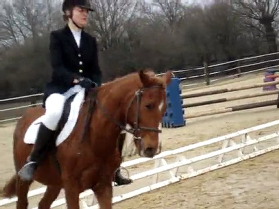 dressage martigné 24/01/10 mélanie + gold préléminaire