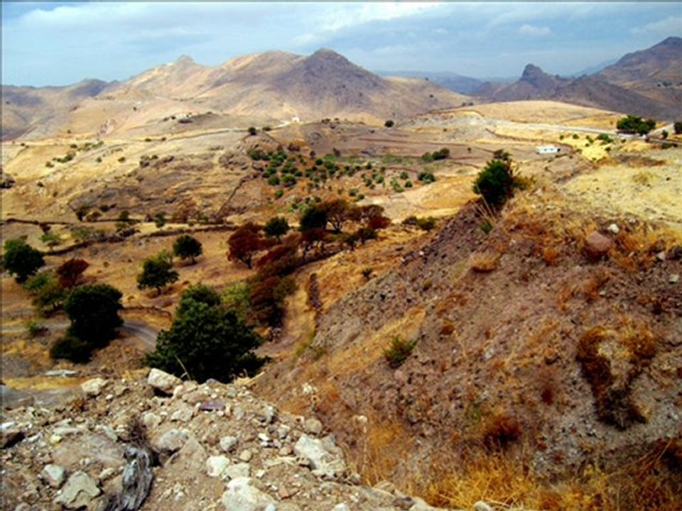 Forêt pétrifiée de Lesbos.