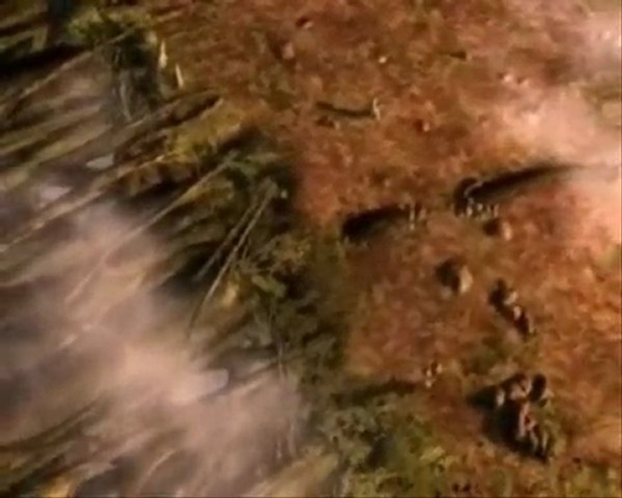 Amv Final Fantasy