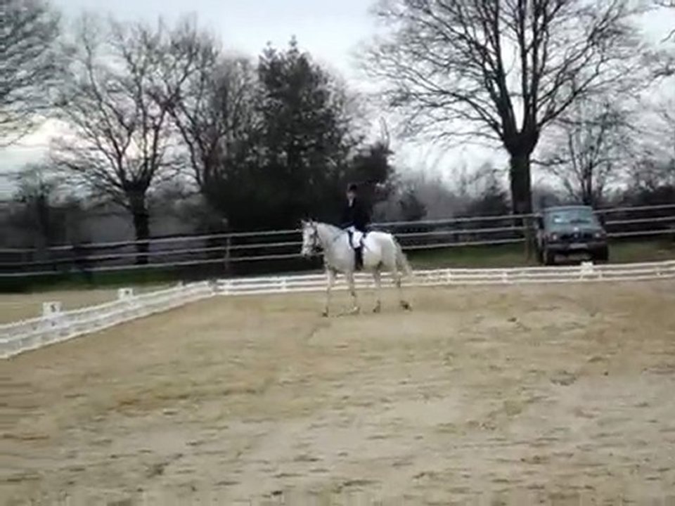 dressage martigné 24/01/10 mélanie + jaryv Club 3 GP