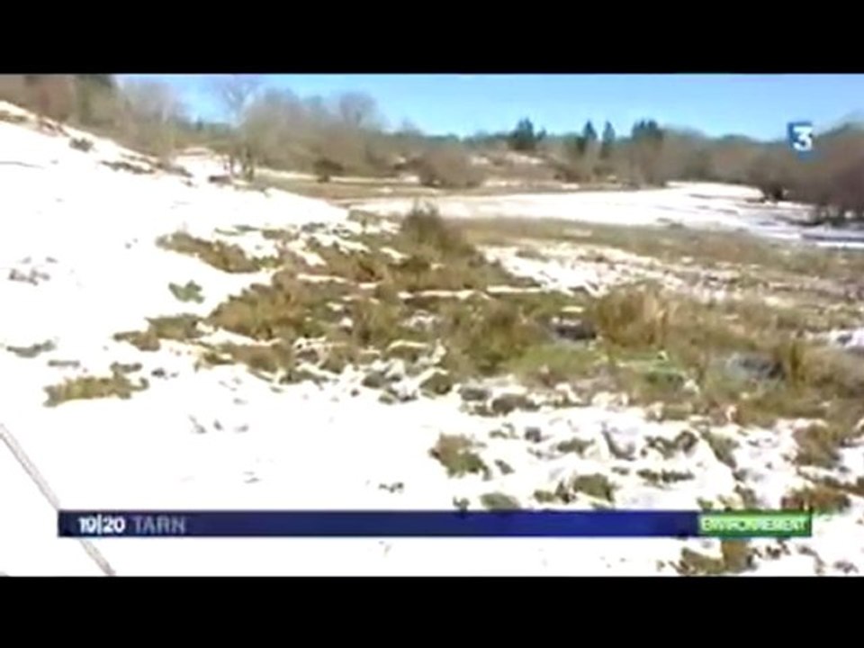 France3Tarn01022010