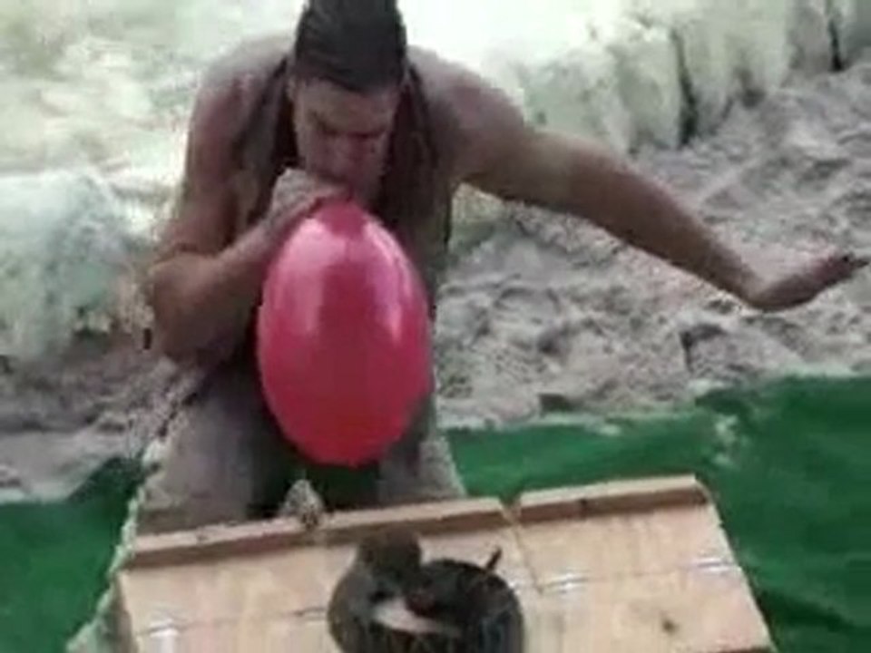 Serpent vs Ballon