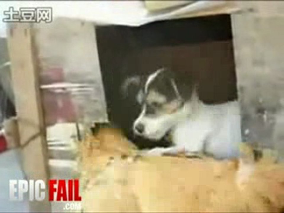 Mating Fail