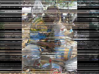 Les Poulettes au Niger