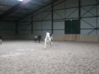 Ponette <3