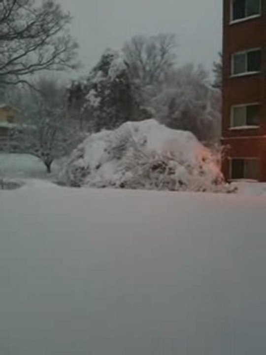 Where's Waldo? Alaska or Maryland?