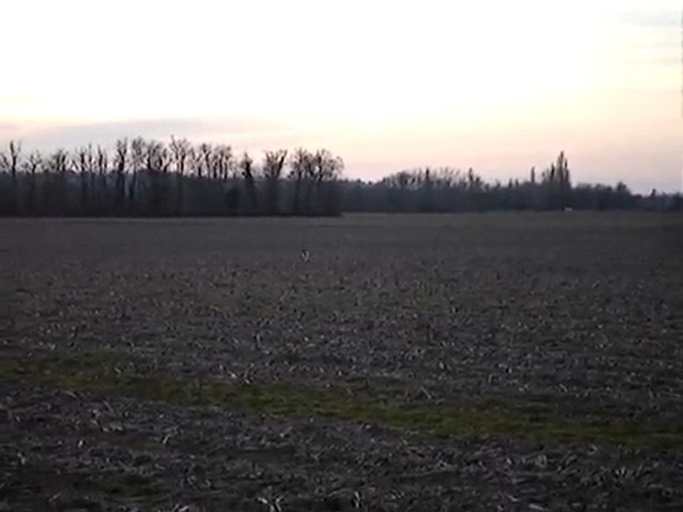 espelette 5 mois 005