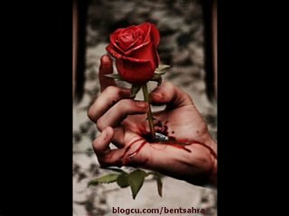 [[ Tüm A$kLar YaLaN ]]