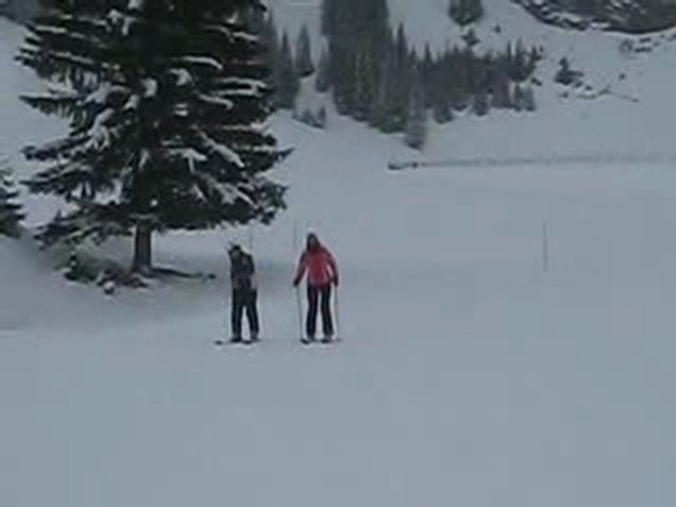 ski1