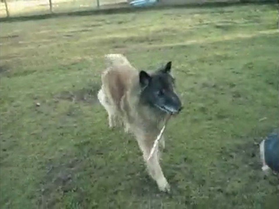 Samson en jeu