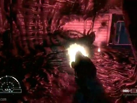 Aliens vs Predator : Marines Trailer