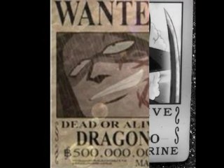 wanted of one piece
