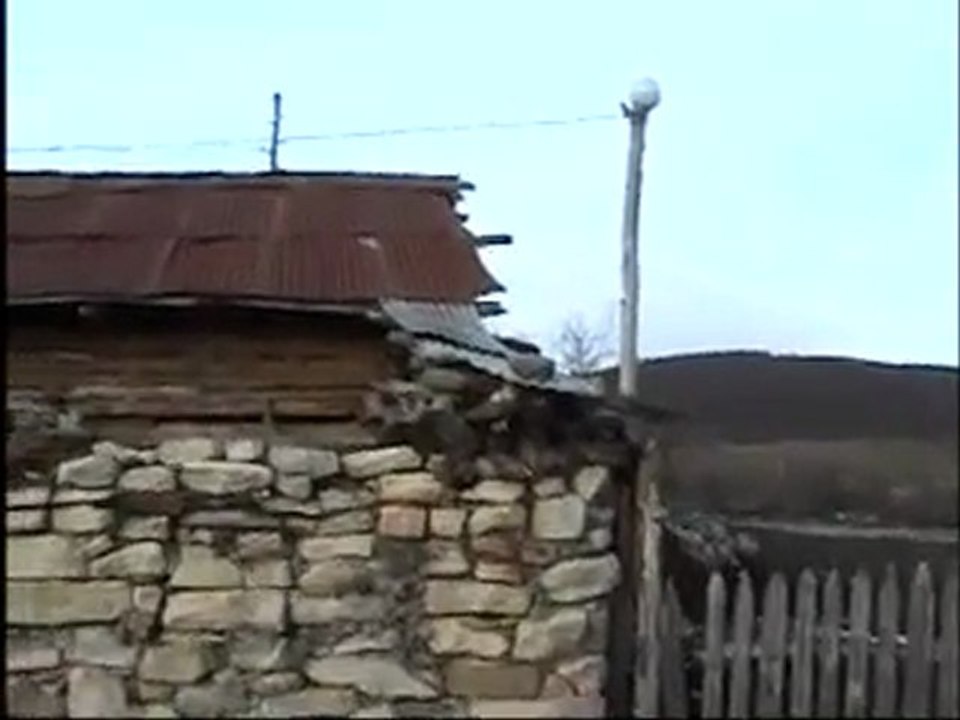 Bandurma