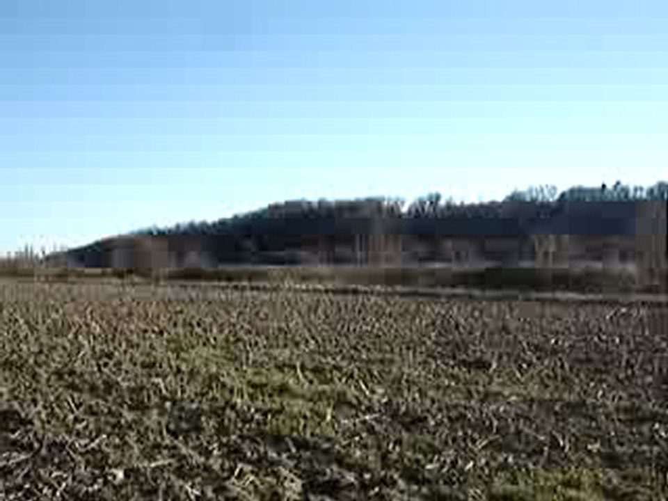 video vera de la vallée de luby faisan 006