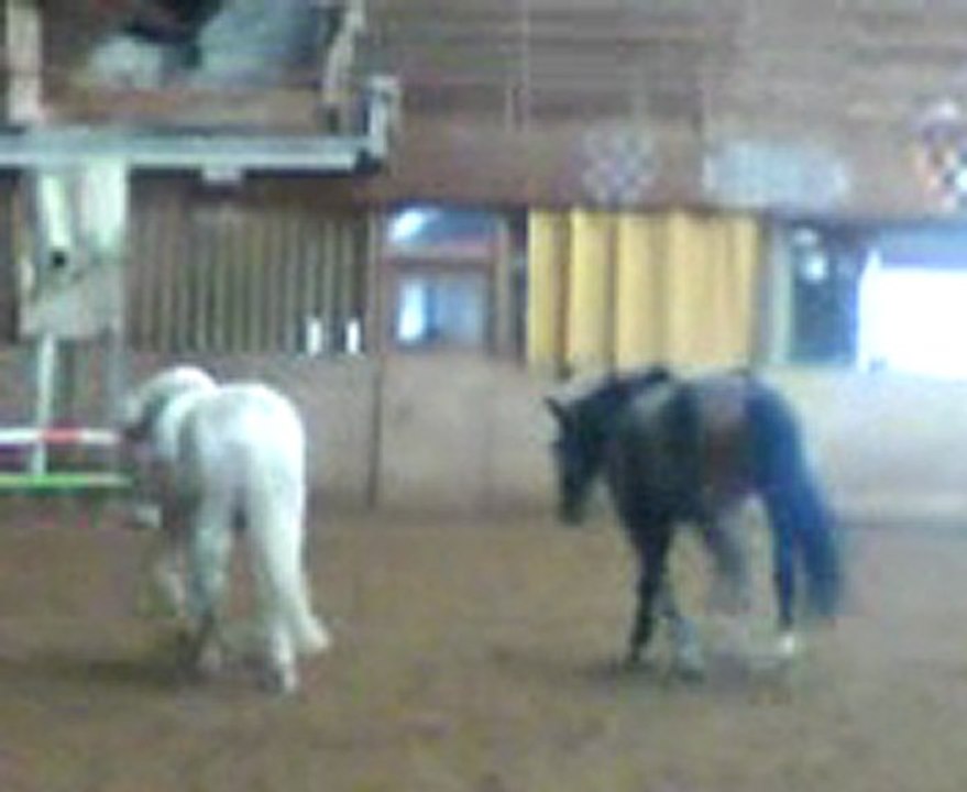 Boule et Django