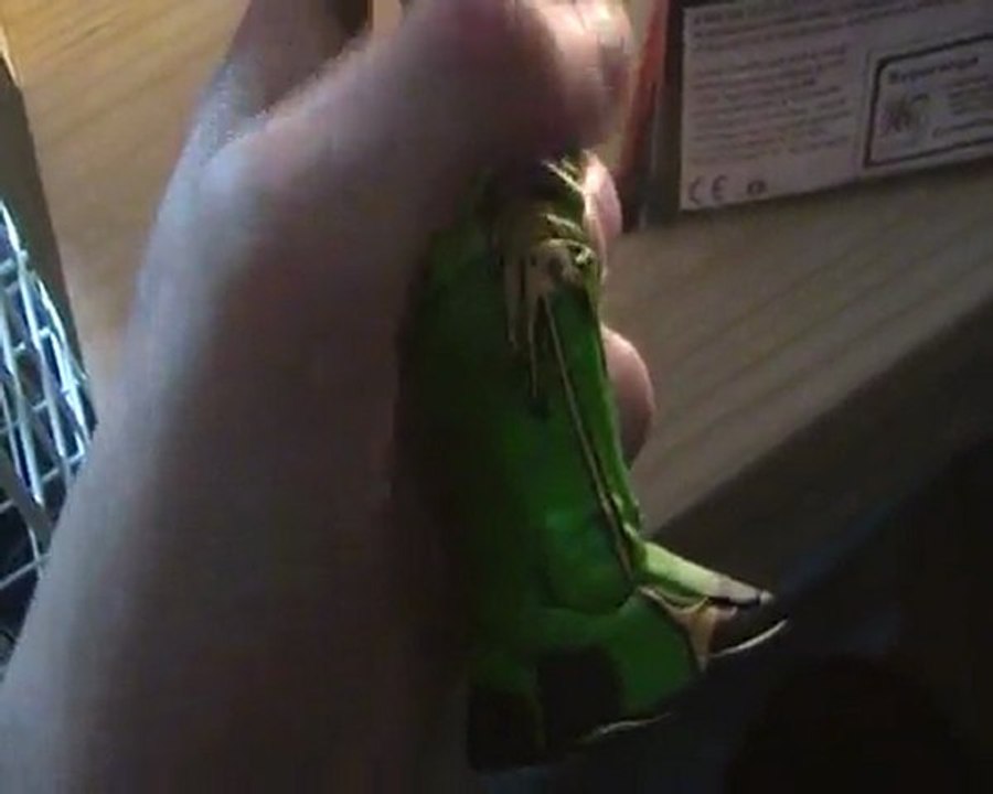 mes 2 nouvelles figurines!!!!