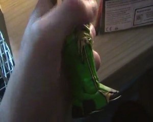 mes 2 nouvelles figurines!!!!